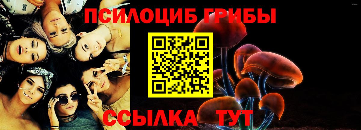 Псилоцибиновые грибы GOLDEN TEACHER  Псилоцибиновые грибы Cubensis  Вход с VPN  Россия 